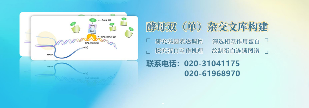 企业概况 